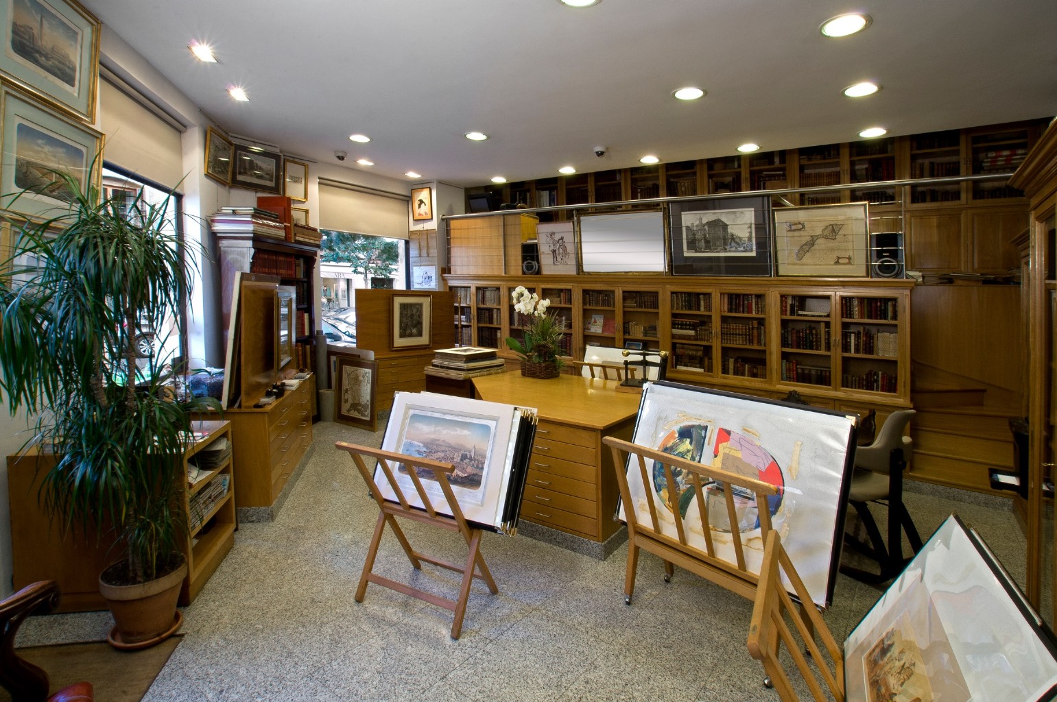 Galería de imágenes